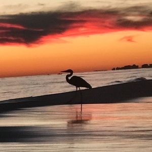 Meet your Posher, Corissa nicole